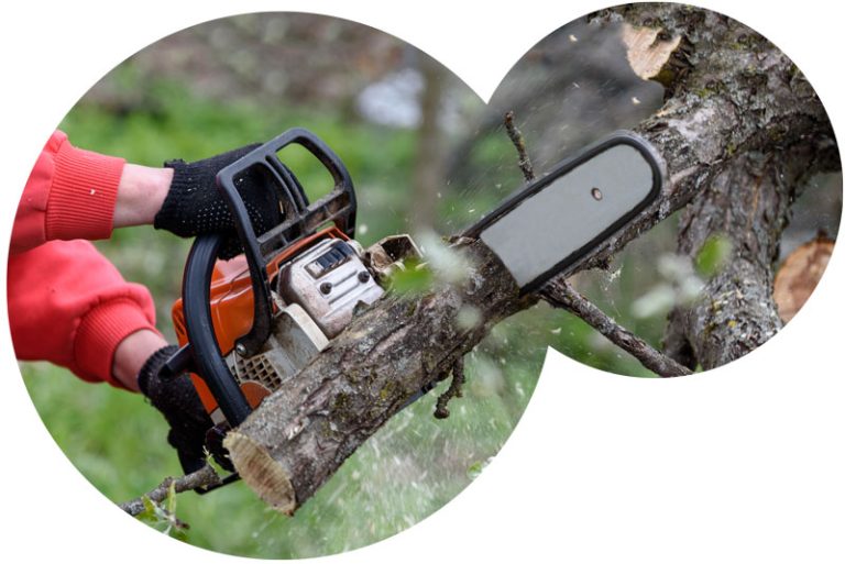 Tree Trimming Clinton Utilities Board